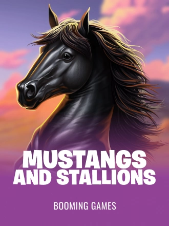 Mustangs and Stallions