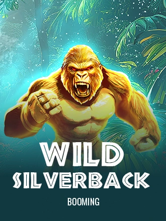 Wild Silverback